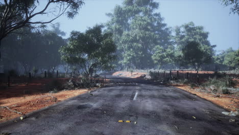 clean rural road with trees