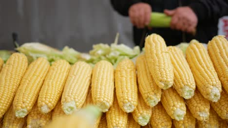 vendor selling corn on the cob at a market