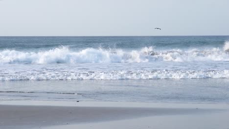 medium blue wave crashes at popoyo beach in west nicaragua with seagull flying, pan left shot