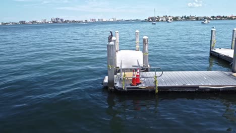 the belleair beach dock, which is surrounded by emerald green water that is crystal pure, with a boat going by, a seagull circling above it, and a crowded city in the distance