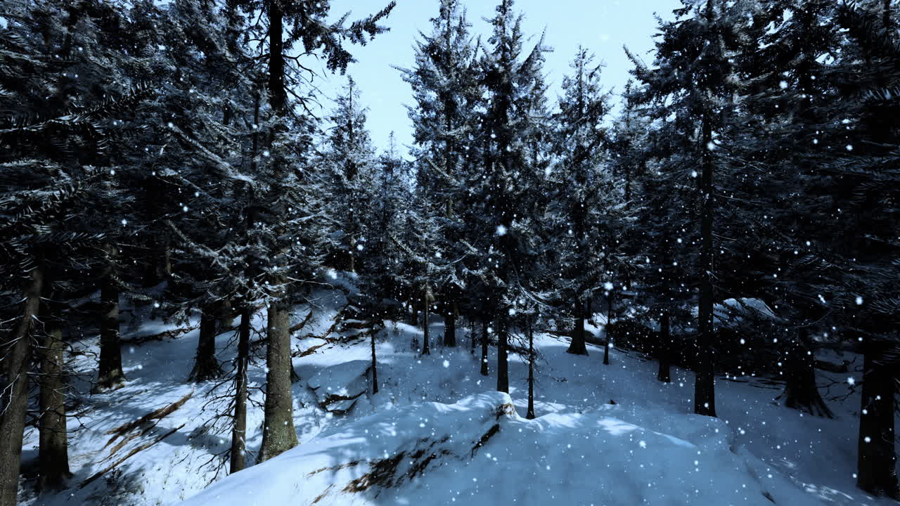 눈 덮인 겨울 숲