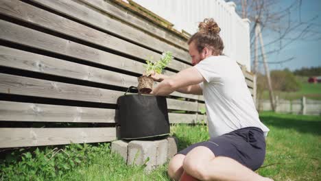 gardener transplanting plant into fabric pot in the backyard