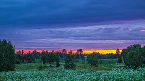 beautiful landscape view of blue clouds passing by in timelapse over green meadows along birch trees in rural countyrside during evening time