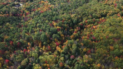 viento colorido en el soleado día de otoño, vista aérea, exuberante follaje forestal con sombras de nubes, paisaje de otoño de cuento de hadas, disparo de drones