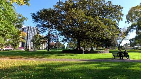 people enjoying a sunny day in melbourne park