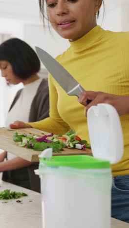 vertical video of biracial sisters cleaning waste in kitchen, in slow motion
