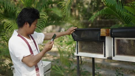 man documents bees in observation beehives with a smartphone