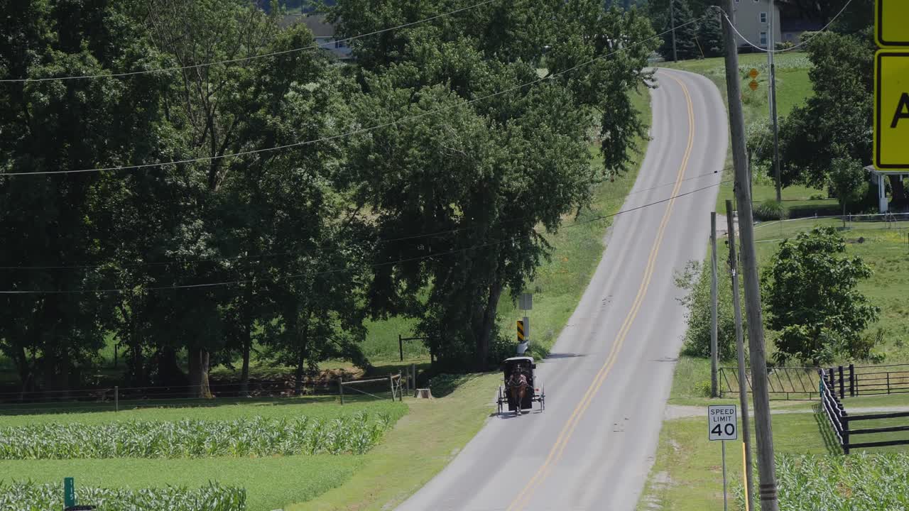 un caballo amish y un buggy recorriendo la carretera en el campo