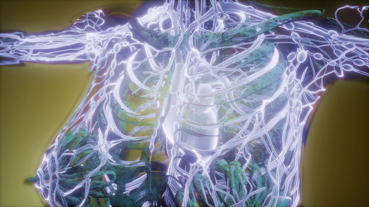 빛나는 혈관으로 된 인체