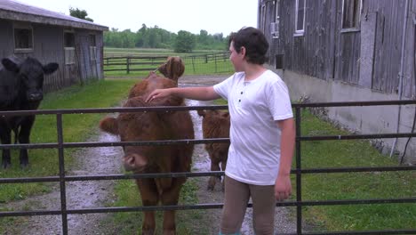 a boy hanging out with some cattle on a farm