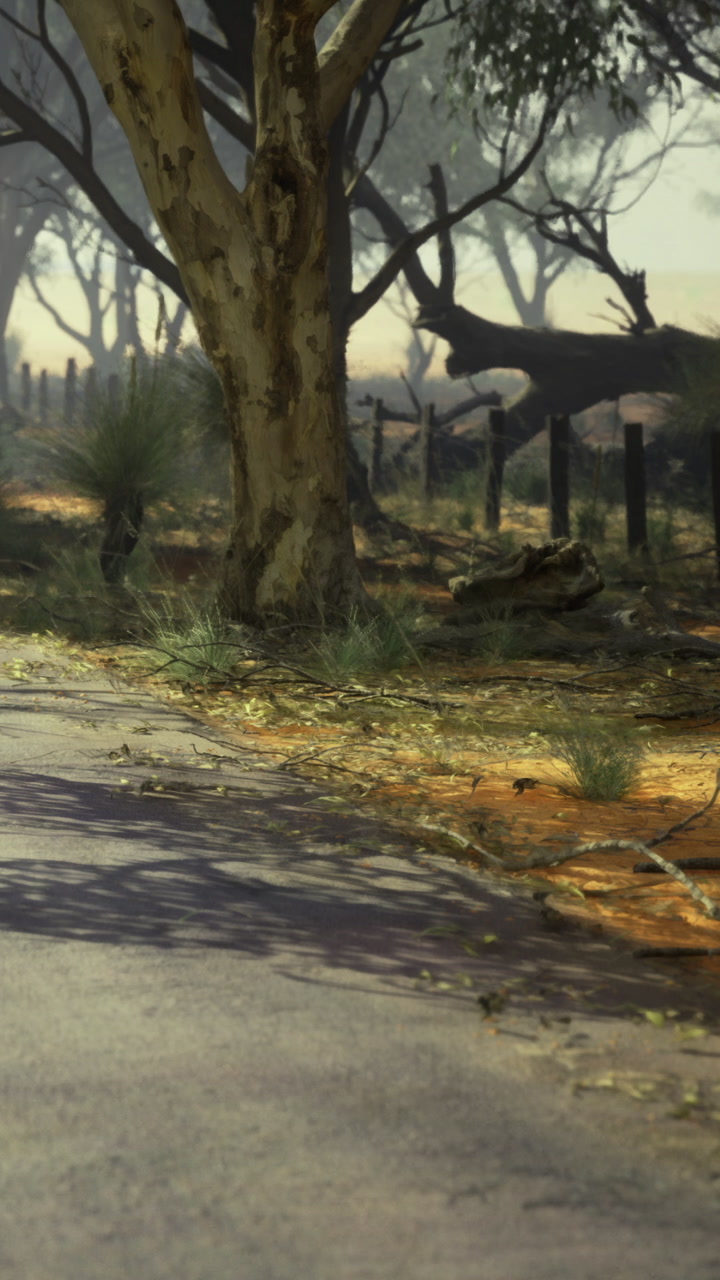 Scenic view of a sunlit dirt road winding through an australian bushland