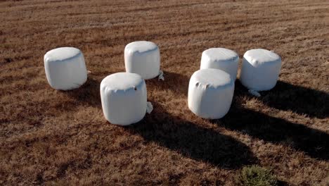 white plastic wrapped hay bales in a field with shadows falling across the ground, drone panning left