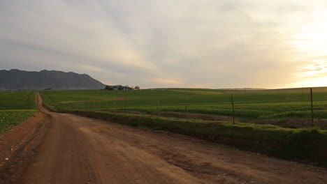 farmlands late afternoon in the cape