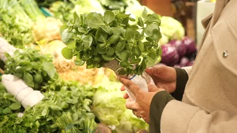 woman holding a bunch of fresh herbs in a grocery store