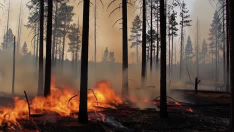destructive wildfire engulfs forest landscape, consuming trees and underbrush while emitting thick smoke into the air, illustrating nature's fury and devastation