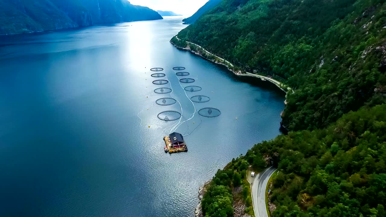 노르웨이에서 연어  ⁇ 시를 하는 공중 촬영