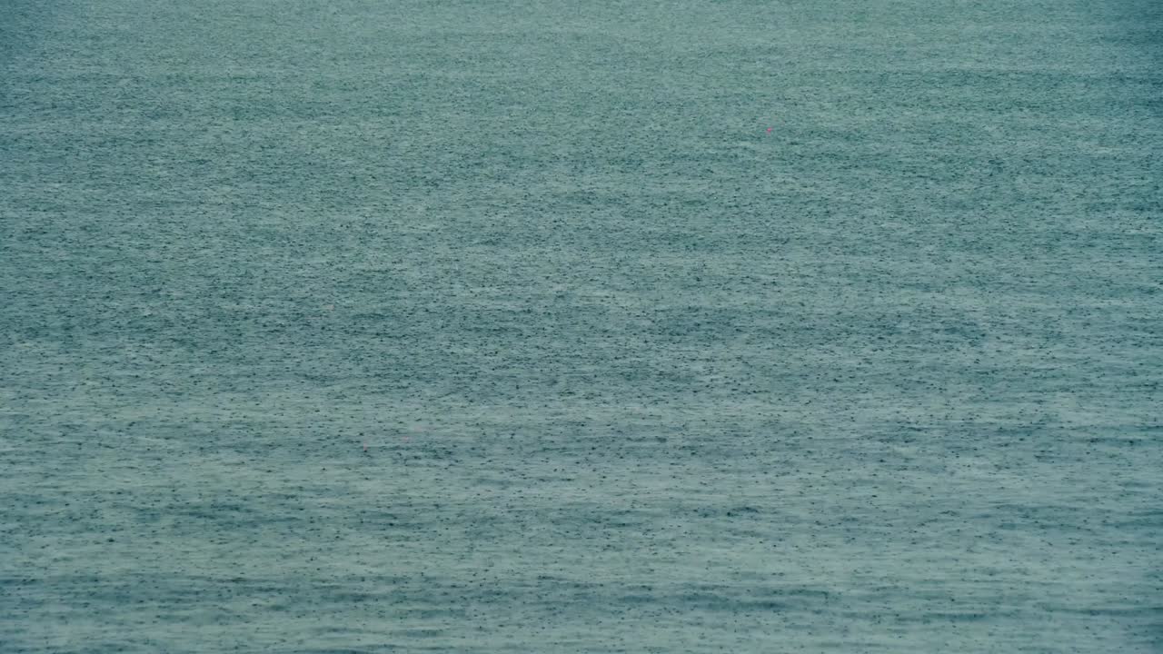 물의 파도에 떨어지는 비의 가까운.