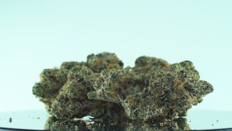 primer plano de una marihuana sativa super limón haze flores, amarillo, verde y morado, en un soporte giratorio reflectante 360, video de cámara lenta 4k