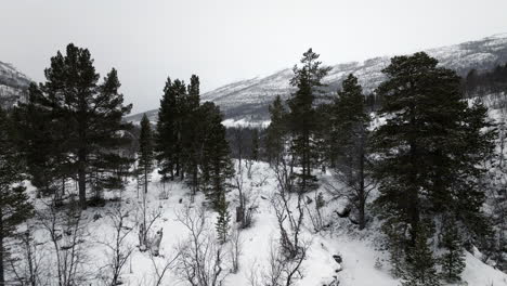 Drohnenflug-über-Die-Schneebedeckte-Norwegische-Winterlandschaft