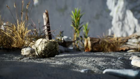 an old torn soccer ball thrown lies on sand of sea beach