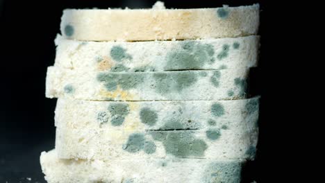 rebanadas de pan con moho