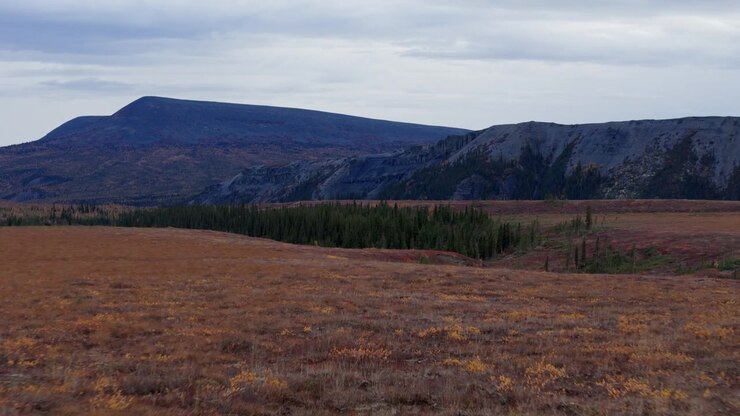Paesaggio autunnale a Wright Pass, Yukon, Canada - Ripresa aerea con drone.