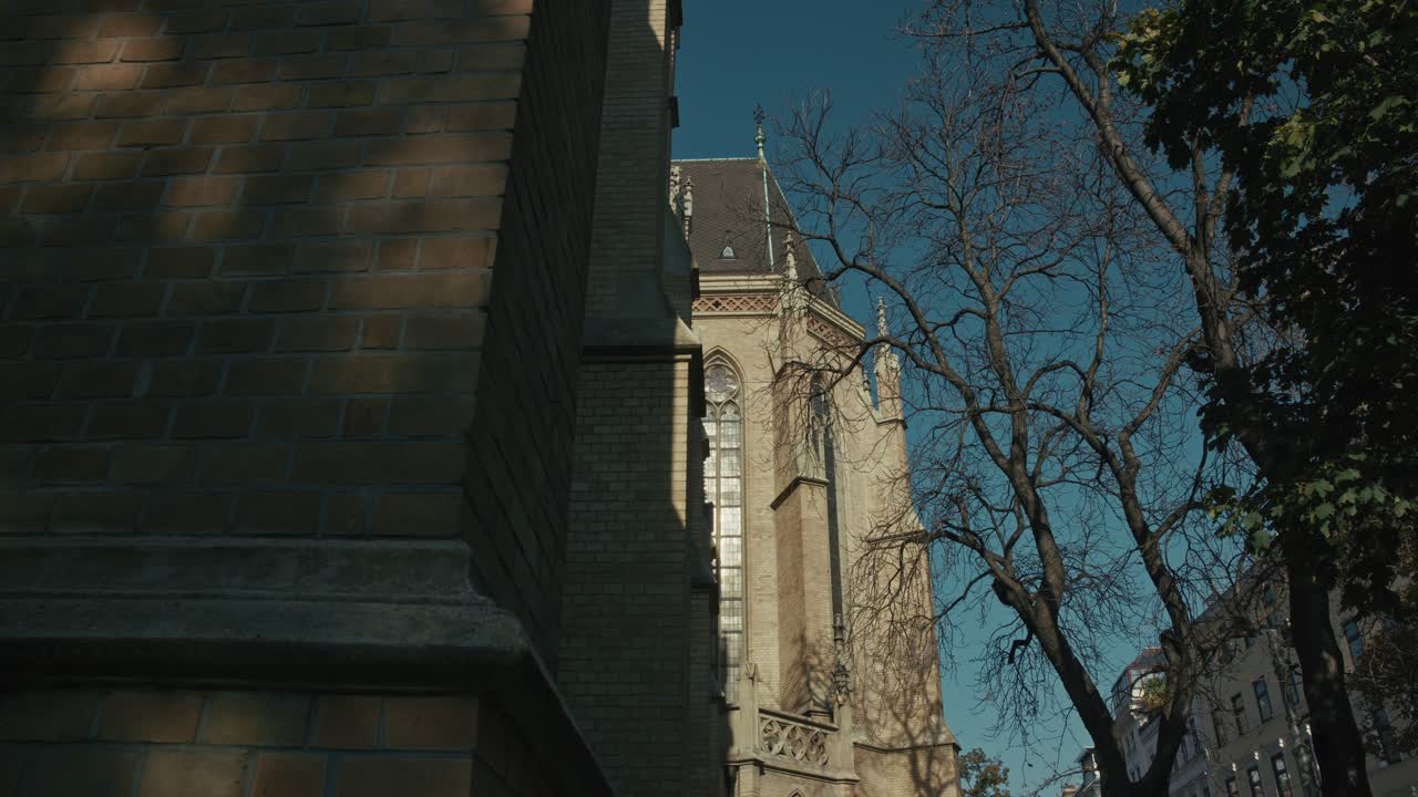 비엔나 의 잎 없는 가지 들 에 여 있는 복잡 한 창문 을 가진 고 양식 의 교회 의 면