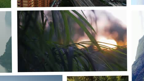 nature collage with diverse scenery