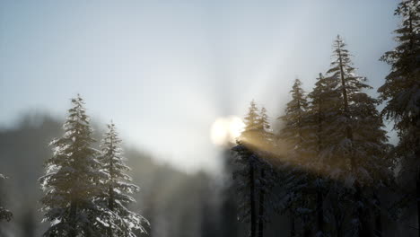 dramatic-winter-sunrise-in-the-mountains