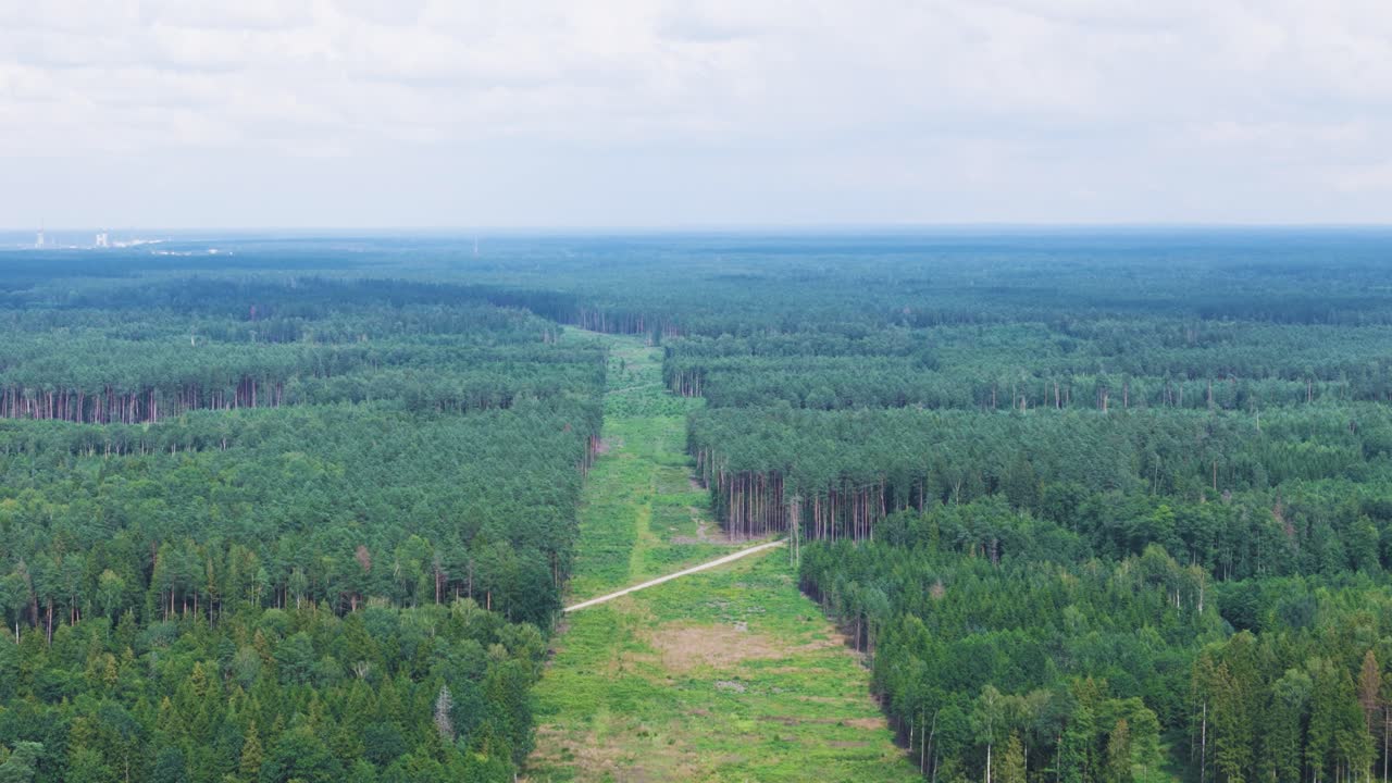Massive line in woodland ready for railway construction, aerial view