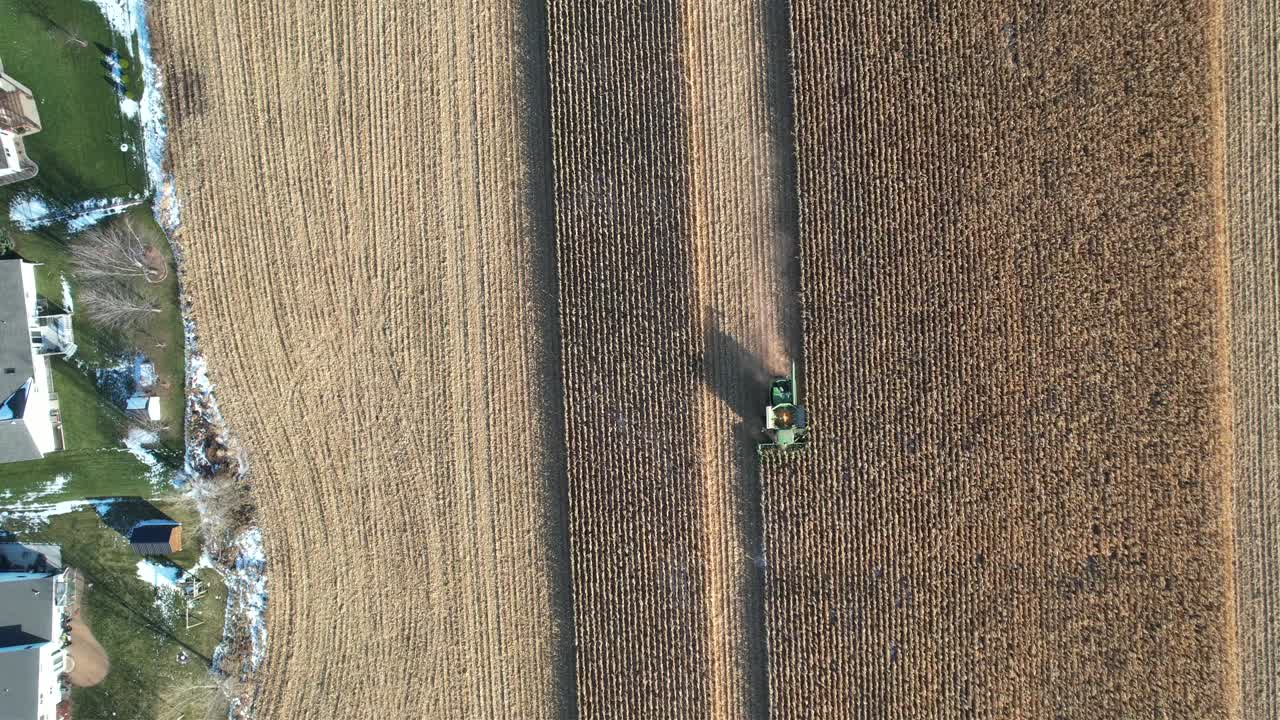 A novembre, un'azienda agricola nel Wisconsin nord-orientale trita e raccoglie il mais per l'insilato.