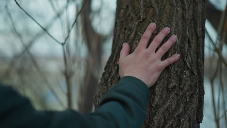 a close-up of a man's hand touching the bark of a tree removed, the man is wearing a green jacket, and the background is softly blurred