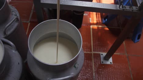 milk pasteurization machine pours fresh milk into a container at cheese factory