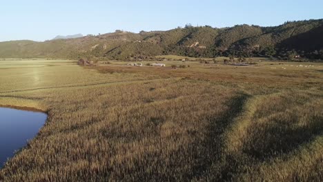 grassy landscape near the mountains 4k