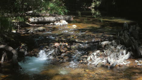 Wunderschöner-Bach-Mit-Klarem-Wasser-Im-Wald-Von-Portugal---Nahaufnahme