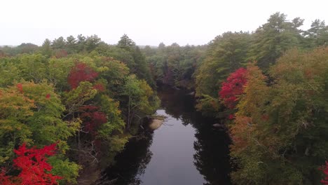 Nebeliger-Fluss-Mit-Herbstlaub,-Der-Vorwärts-Und-Hinunter-Zum-Wasser-Fliegt