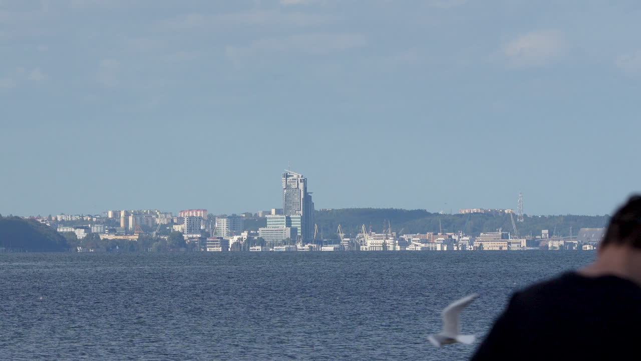은 하늘과 함께 물 건너편에서 볼 수 있는 도시 스카이라인, 한 사람의 머리의 전면 실루