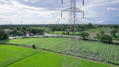 poste de alta tensión, torre de transmisión, pilar de electricidad, transmisión de energía eléctrica ubicado en un campo de arroz en el campo