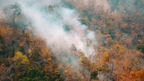 smog of forest fires. deforestation and climate crisis. toxic haze from rainforest fires, thailand, ma hon son. aerial video 4k