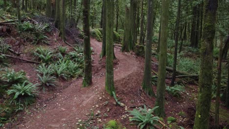 Musterflora-Von-Abbotsford-Estate-British-Columbia-Kanada