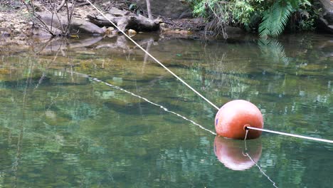 orange buoy floating on clear water. dolly out