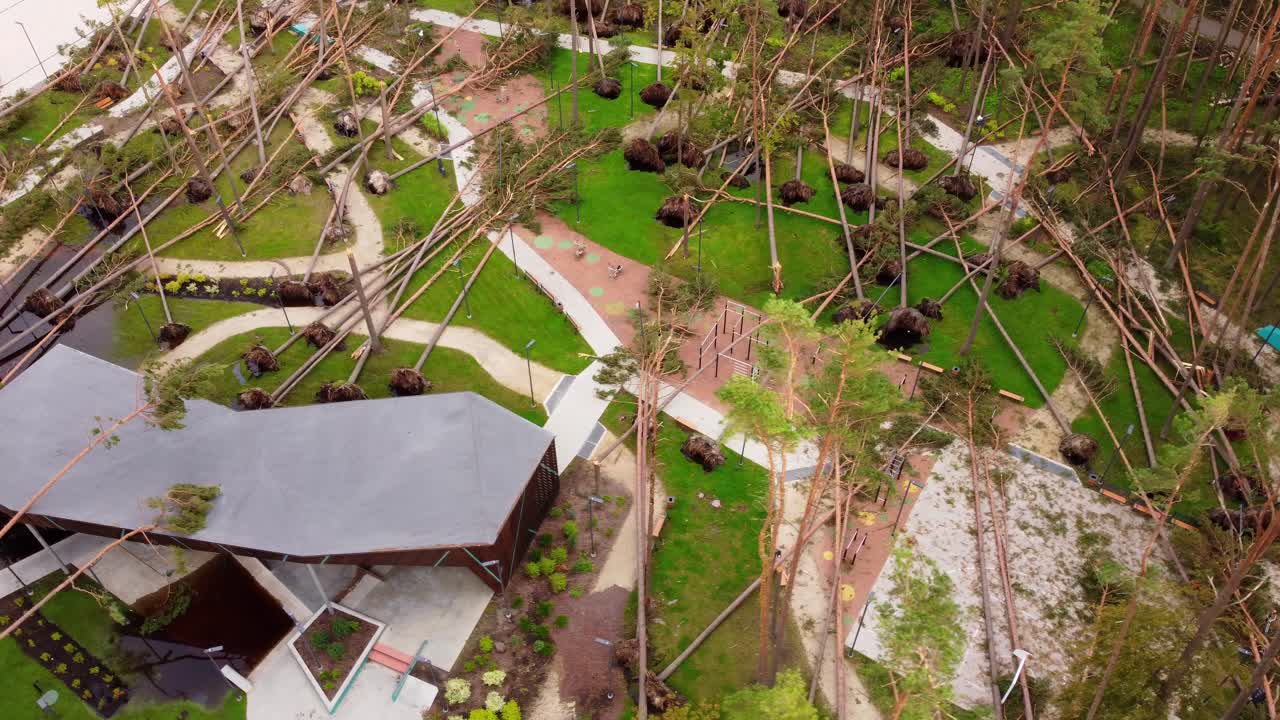 Modern buildings and fallen park trees after powerful storm, aerial view