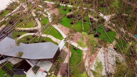 modern buildings and fallen park trees after powerful storm, aerial view