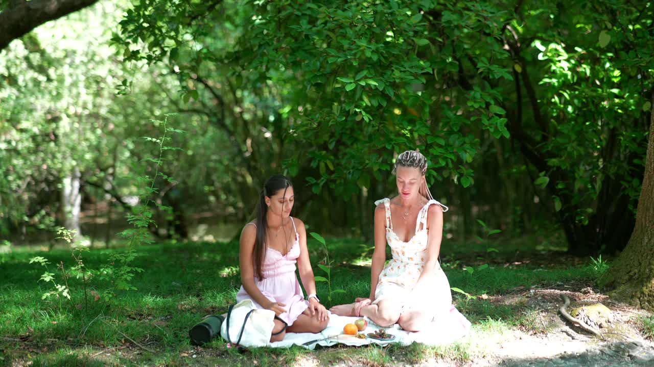 dos mujeres disfrutando de un picnic en el parque