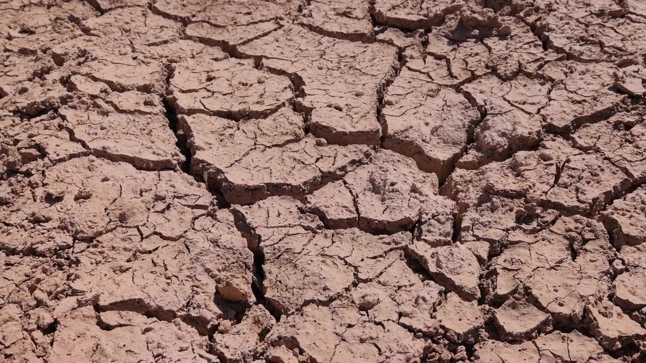 Ripresa con slider cattura le texture di terreno arido e screpolato sotto la luce solare intensa durante una grave crisi di siccità europea. Un primo piano drammatico sottolinea l'impatto ambientale e l'emergenza climatica