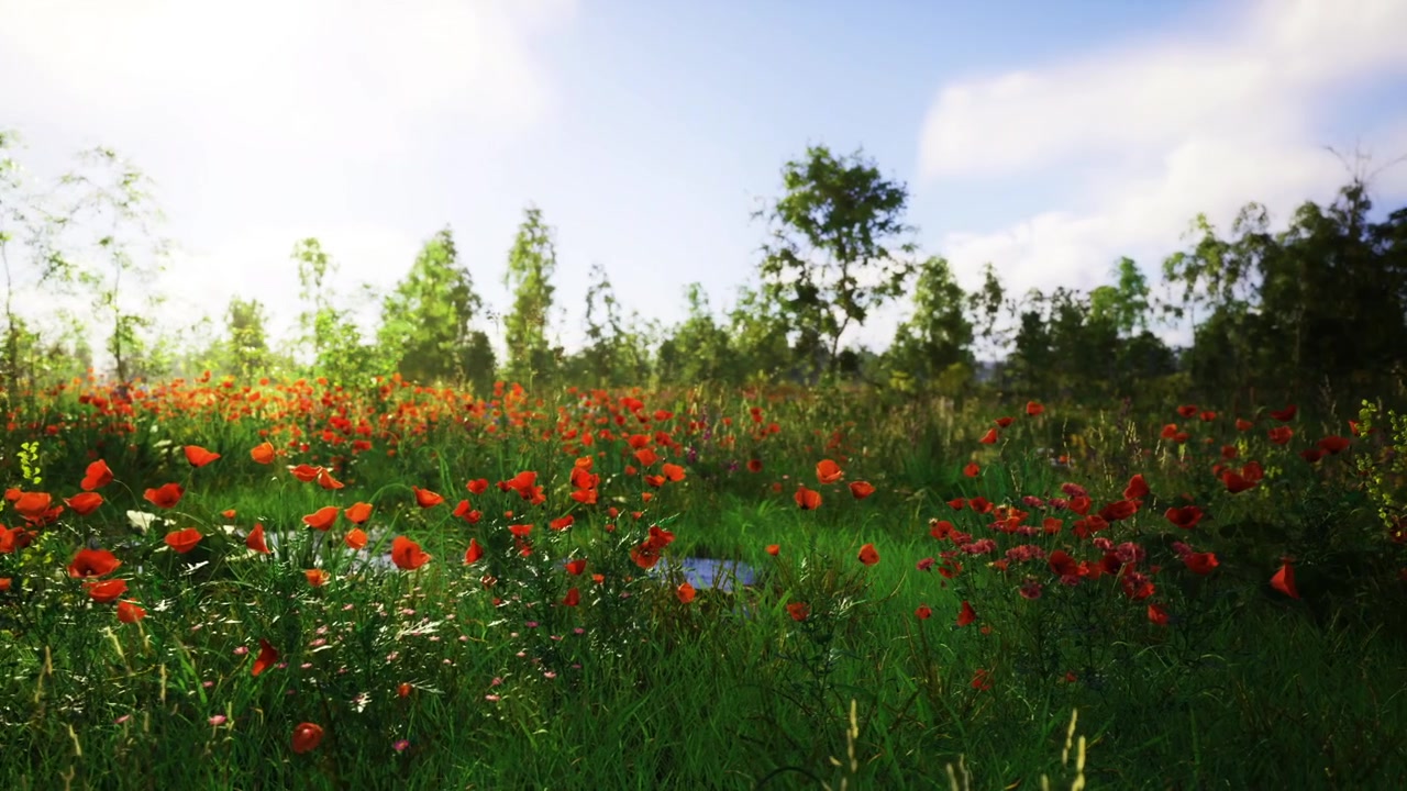 Rich landscape filled with colorful wildflowers and sunlight