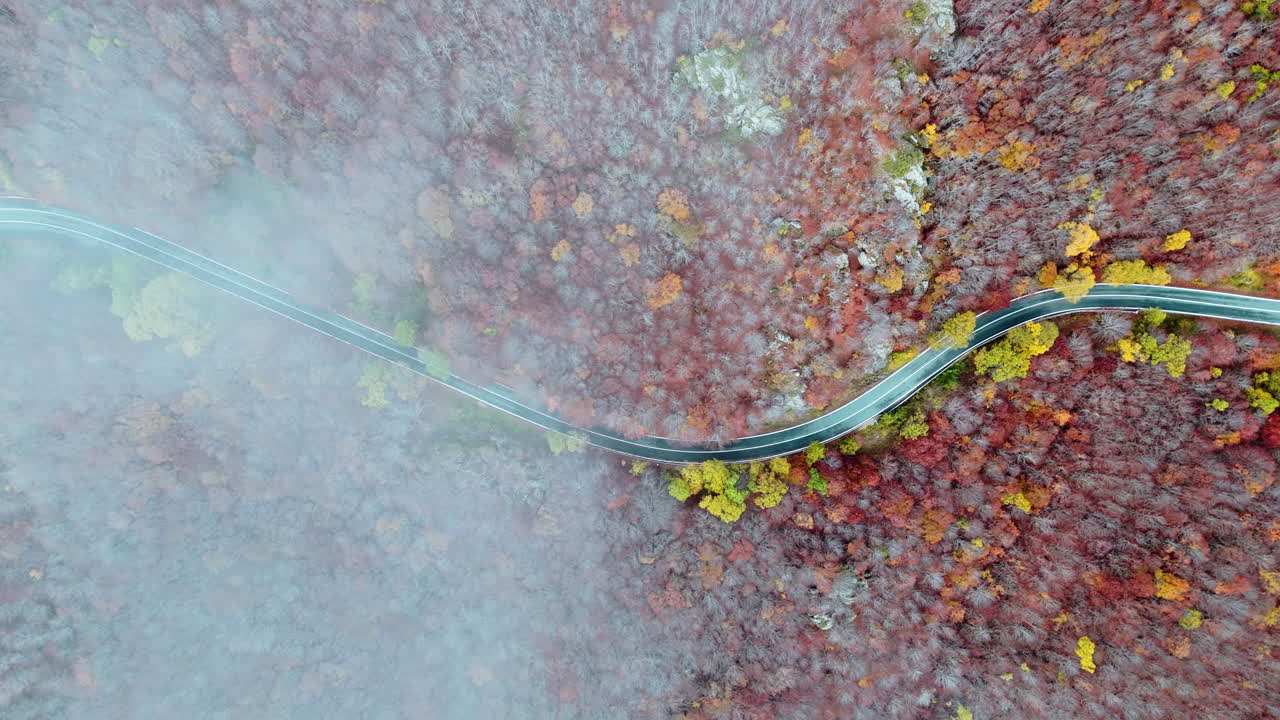 Winding road through colorful autumn forest in aerial perspective