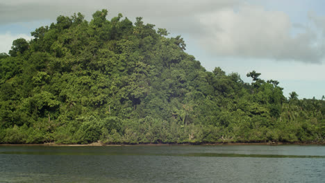 a majestic view of a hill where locals conduct firefly watch at night in siargao, philippines.