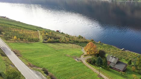 Abgeholzte-Bäume-Und-Nur-Noch-Gras-Auf-Obstfarm-In-Ullensvang-Hardanger-Aufgrund-Geringer-Einnahmen-Und-Hoher-Ausgaben---Hardanger-Sorfjorden-Im-Hintergrund-Und-Straße-Rv13-Nach-Odda-Im-Vordergrund---Norwegen