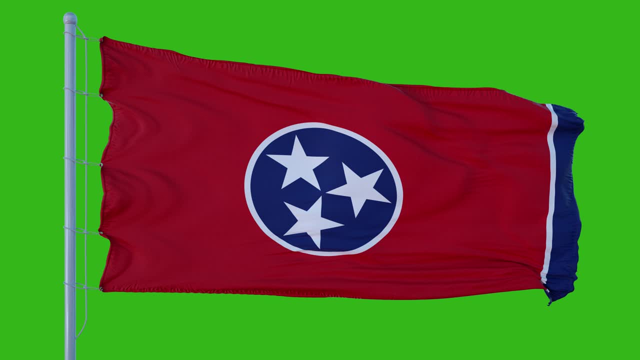 테네시 주 발이 녹색 화면 배경에 바람에 흔들리고 있습니다.